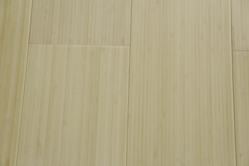 Bamboo Flooring, <em>Two Constructions, 34 Lines</em>